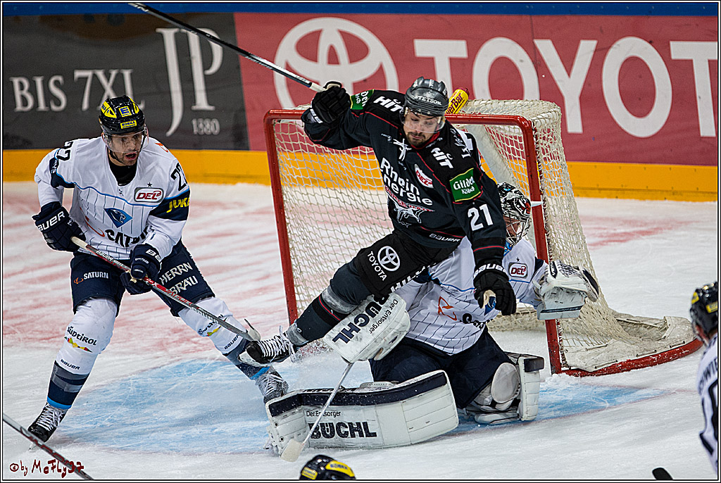 Koelner Haie - ERC Ingolstadt, 23.10.2016